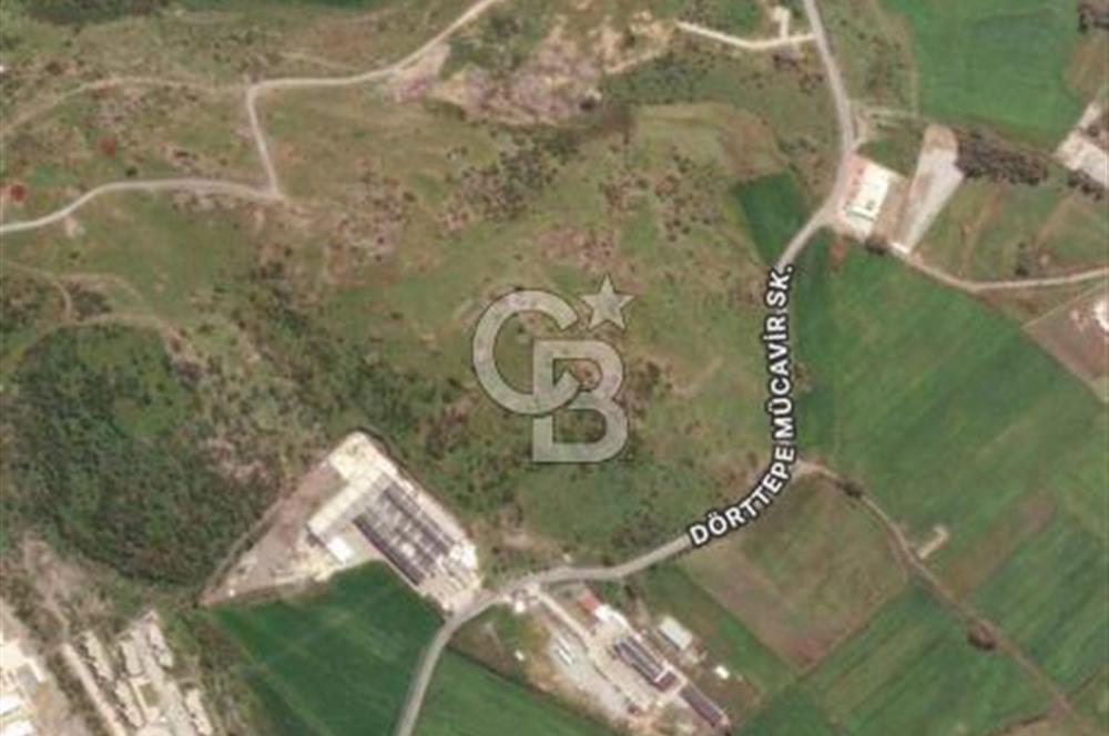 Milas Dörttepe Satılık Kooperatif Hissesi