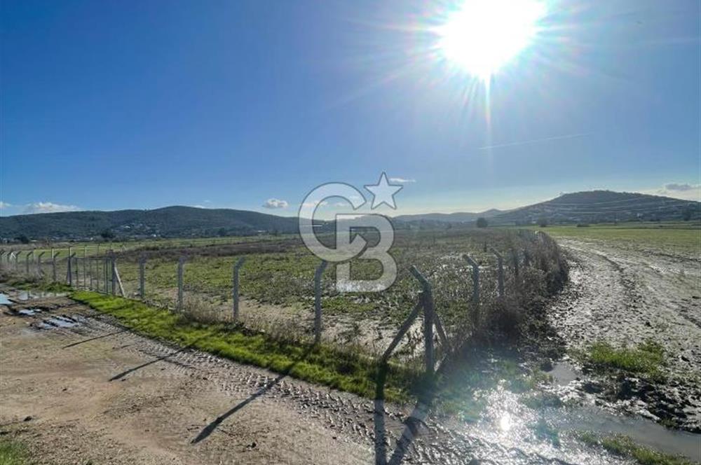 Milas Dörttepe Satılık Kooperatif Hissesi