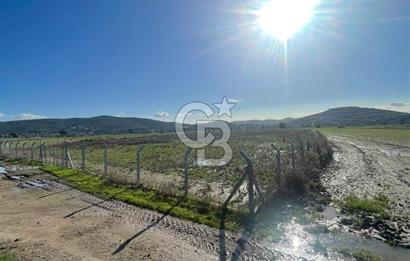 Milas Dörttepe Satılık Kooperatif Hissesi