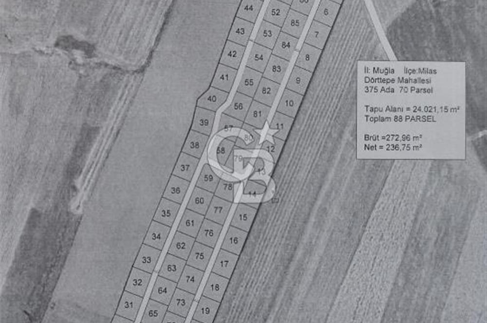 Milas Dörttepe Satılık Kooperatif Hissesi