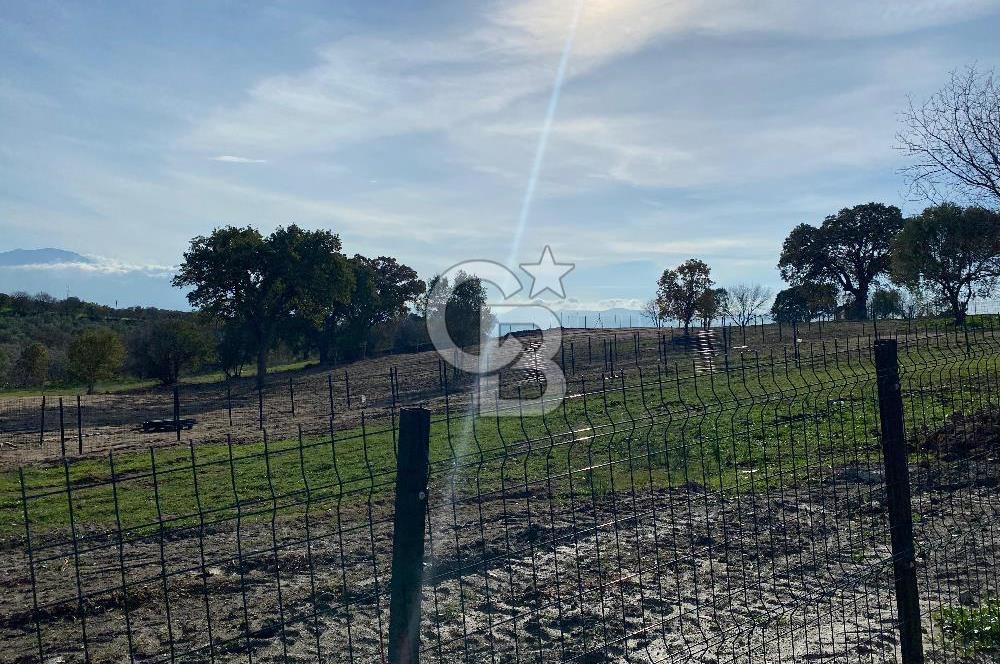 COLDWELL BANKER OFİS'DEN ÜÇPINAR'DA SATILIK TARLA