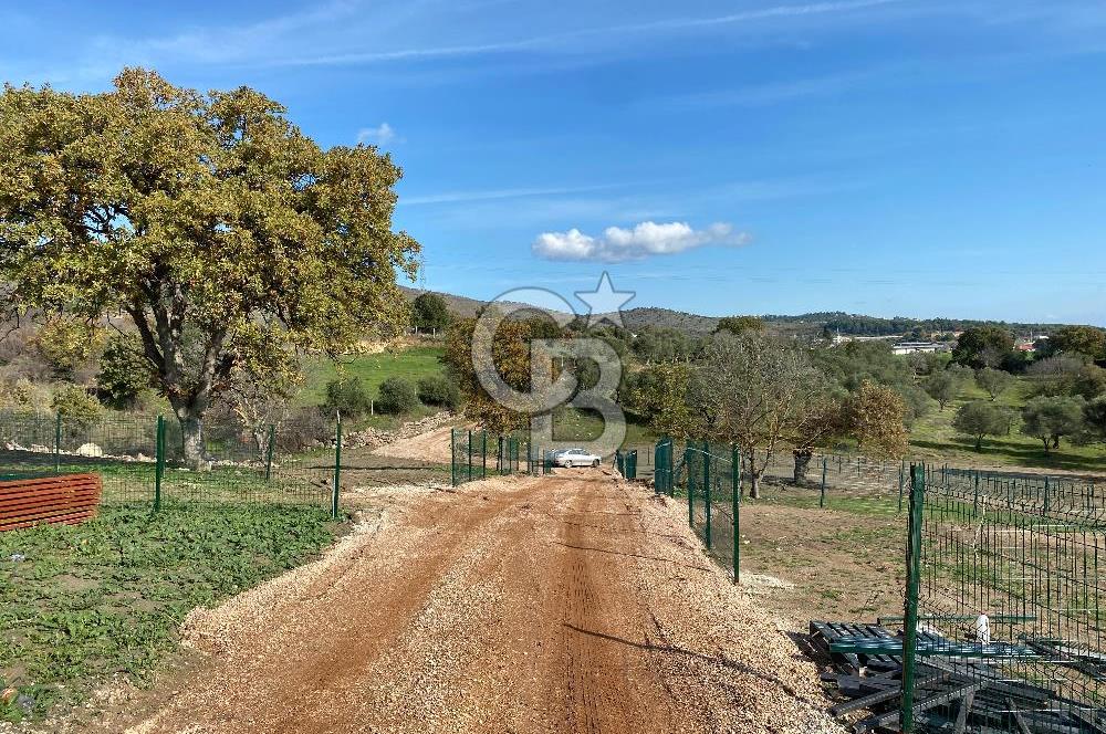 COLDWELL BANKER OFİS'DEN ÜÇPINAR'DA SATILIK TARLA