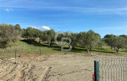 COLDWELL BANKER OFİS'DEN ÜÇPINAR'DA SATILIK TARLA