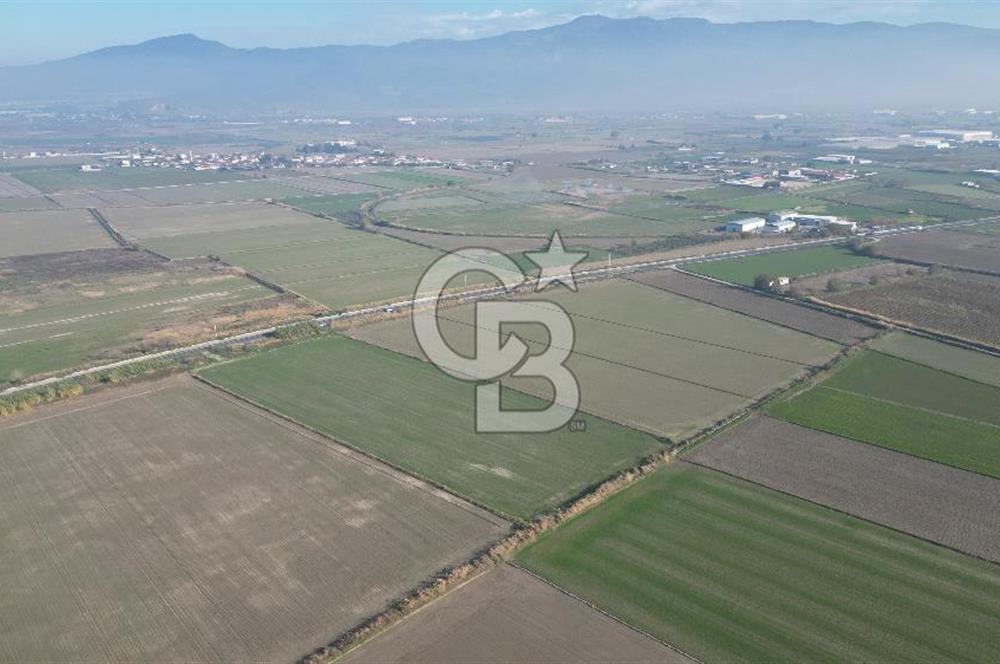 CB İYAdan MENEMEN MUSABEY KÖYÜN'DE SATILIK TARLA