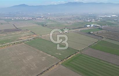 CB İYAdan MENEMEN MUSABEY KÖYÜN'DE SATILIK TARLA