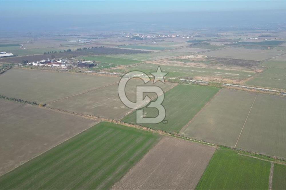 CB İYAdan MENEMEN MUSABEY KÖYÜN'DE SATILIK TARLA