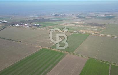 CB İYAdan MENEMEN MUSABEY KÖYÜN'DE SATILIK TARLA