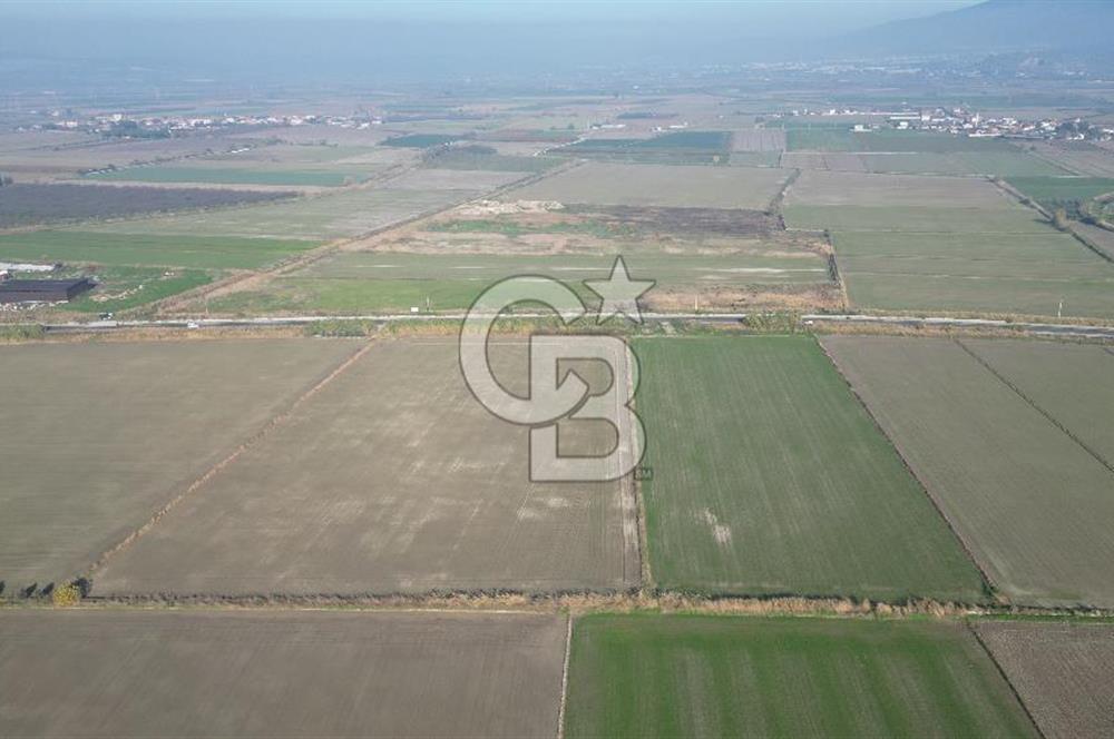 CB İYAdan MENEMEN MUSABEY KÖYÜN'DE SATILIK TARLA