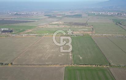 CB İYAdan MENEMEN MUSABEY KÖYÜN'DE SATILIK TARLA