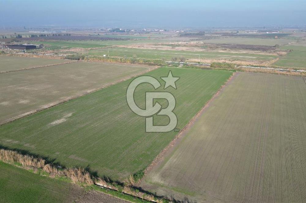 CB İYAdan MENEMEN MUSABEY KÖYÜN'DE SATILIK TARLA