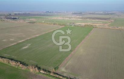 CB İYAdan MENEMEN MUSABEY KÖYÜN'DE SATILIK TARLA