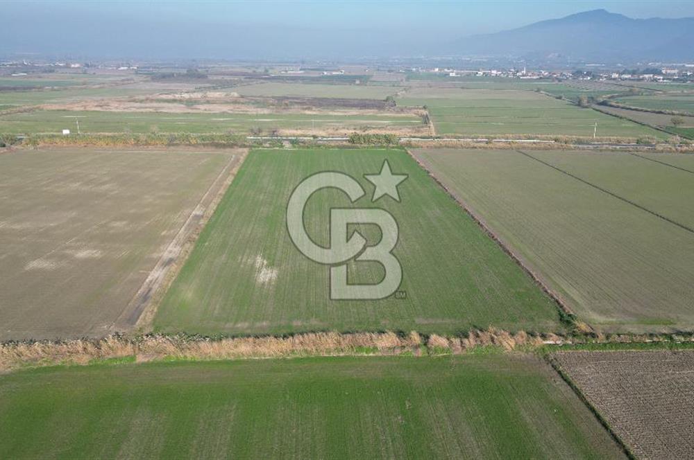 CB İYAdan MENEMEN MUSABEY KÖYÜN'DE SATILIK TARLA