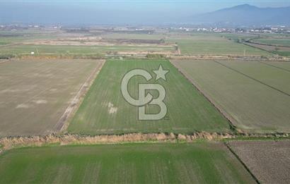 CB İYAdan MENEMEN MUSABEY KÖYÜN'DE SATILIK TARLA