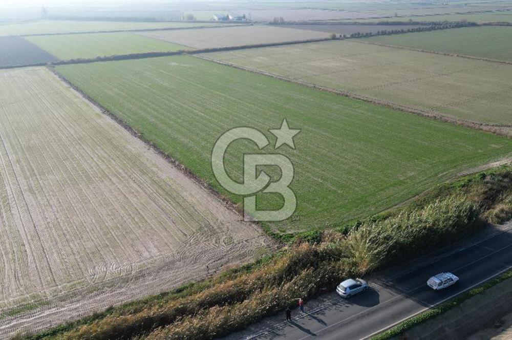 CB İYAdan MENEMEN MUSABEY KÖYÜN'DE SATILIK TARLA