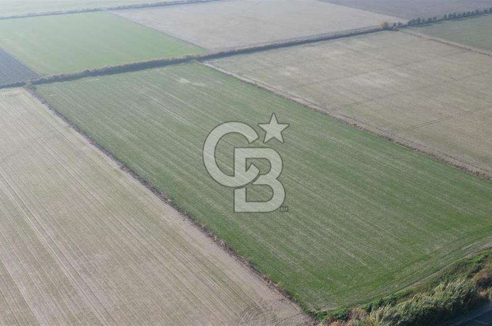 CB İYAdan MENEMEN MUSABEY KÖYÜN'DE SATILIK TARLA