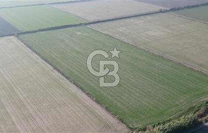 CB İYAdan MENEMEN MUSABEY KÖYÜN'DE SATILIK TARLA