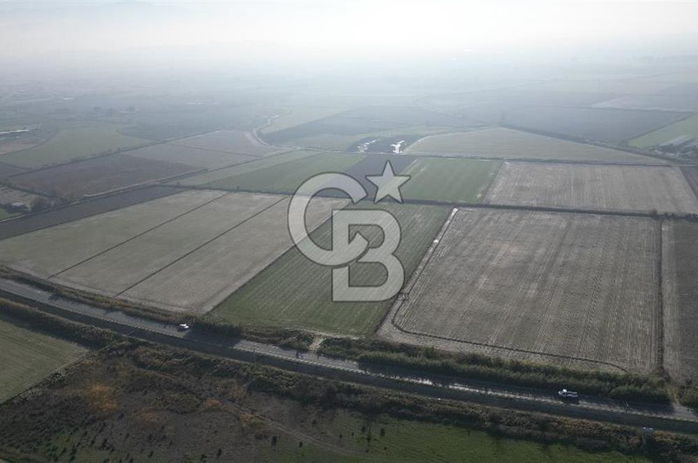 CB İYAdan MENEMEN MUSABEY KÖYÜN'DE SATILIK TARLA