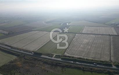 CB İYAdan MENEMEN MUSABEY KÖYÜN'DE SATILIK TARLA