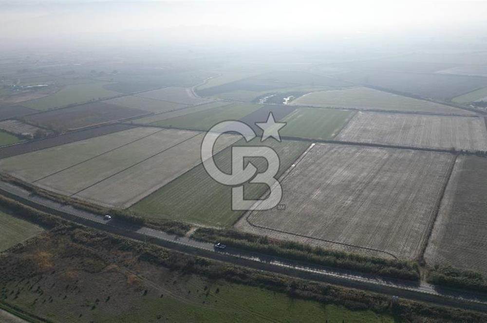 CB İYAdan MENEMEN MUSABEY KÖYÜN'DE SATILIK TARLA