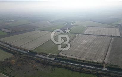 CB İYAdan MENEMEN MUSABEY KÖYÜN'DE SATILIK TARLA