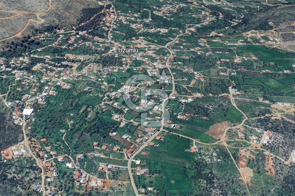 Antalya Kaş üzümlüde 693 m2 bağ ve sebze bahçesi