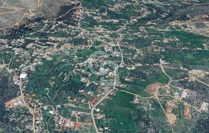 Antalya Kaş üzümlüde 693 m2 bağ ve sebze bahçesi