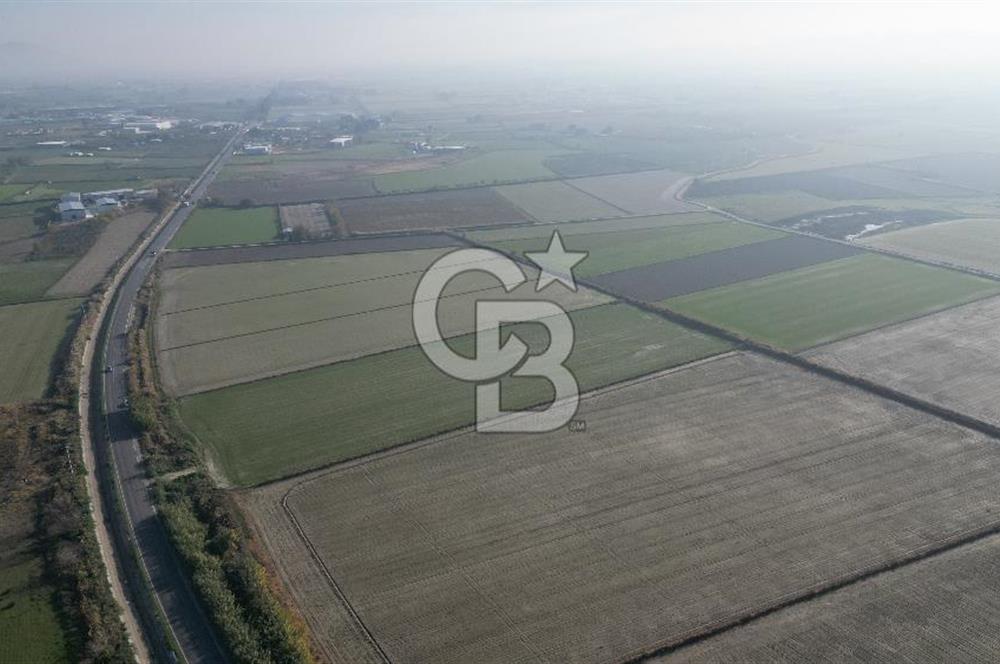 CB İYAdan MENEMEN MUSABEY KÖYÜN'DE SATILIK TARLA