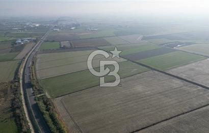 CB İYAdan MENEMEN MUSABEY KÖYÜN'DE SATILIK TARLA