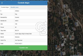 Antalya Kaş üzümlüde 693 m2 bağ ve sebze bahçesi - 2 - 322018