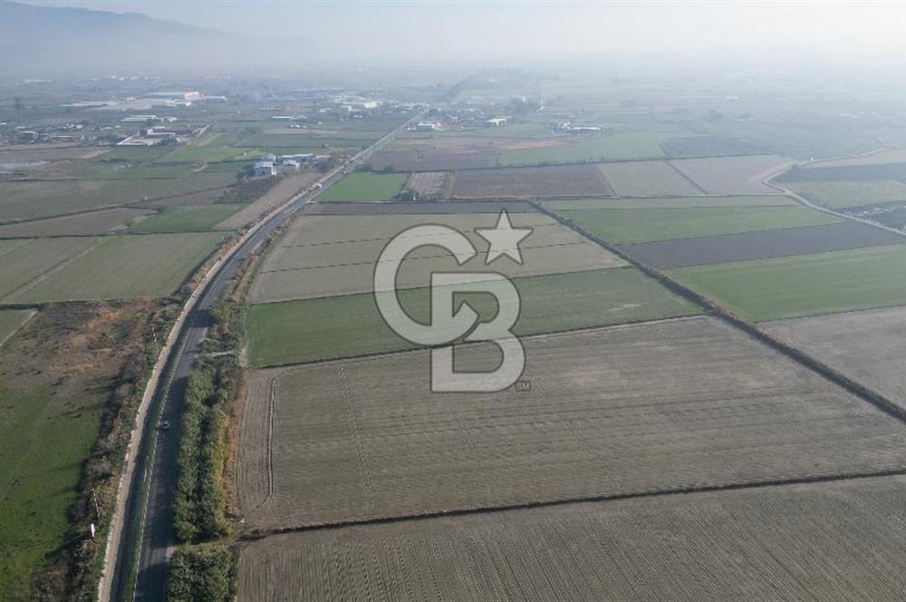 CB İYAdan MENEMEN MUSABEY KÖYÜN'DE SATILIK TARLA