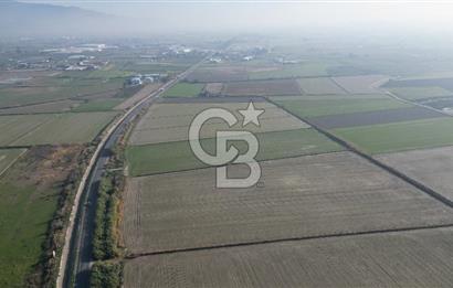 CB İYAdan MENEMEN MUSABEY KÖYÜN'DE SATILIK TARLA