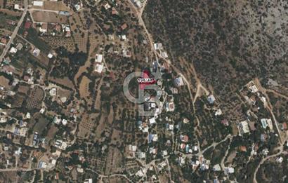 Antalya kaş üzümlü’de 693 m2 Bağ ve Sebze Bahçe