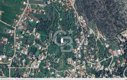 Antalya kaş üzümlü’de yatırımlık bağ