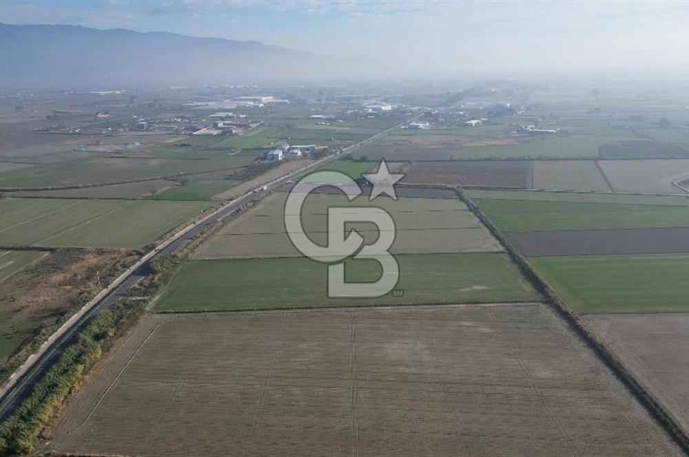 CB İYAdan MENEMEN MUSABEY KÖYÜN'DE SATILIK TARLA