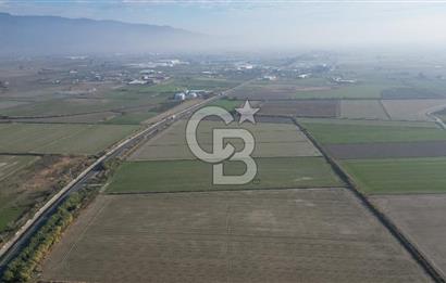 CB İYAdan MENEMEN MUSABEY KÖYÜN'DE SATILIK TARLA