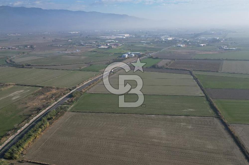 CB İYAdan MENEMEN MUSABEY KÖYÜN'DE SATILIK TARLA