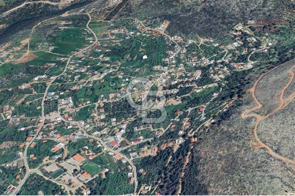 Antalya kaş üzümlü’de yatırımlık bağ