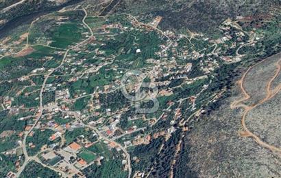 Antalya kaş üzümlü’de yatırımlık bağ