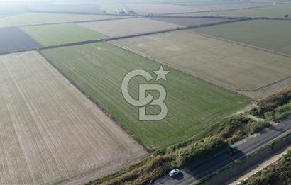 CB İYAdan MENEMEN MUSABEY KÖYÜN'DE SATILIK TARLA