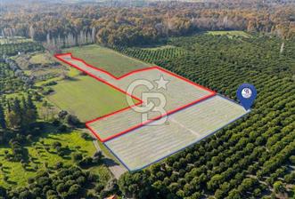 MUĞLA KÖYCEĞİZ ULUCAMİ DE MUHTEŞEM KONUMLU VE MANZARALI TARLA 1 /17 Premium Ofis - 5 - 321907