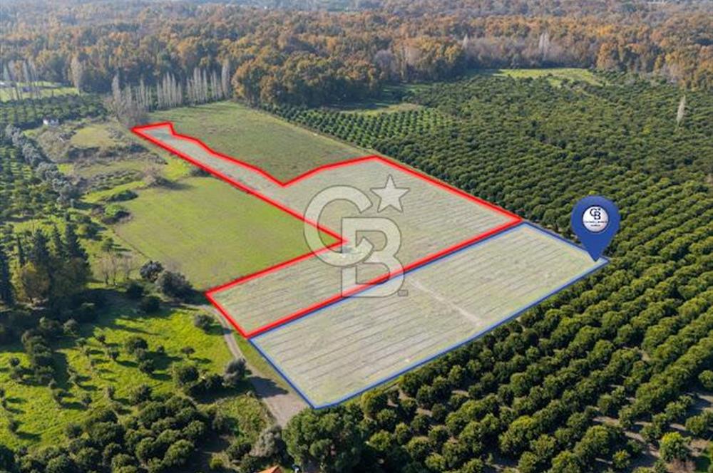 MUĞLA KÖYCEĞİZ ULUCAMİ DE MUHTEŞEM KONUMLU VE MANZARALI TARLA 1 /17 Premium Ofis