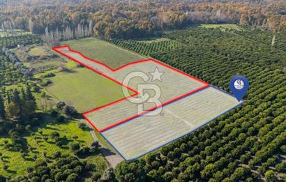 MUĞLA KÖYCEĞİZ ULUCAMİ DE MUHTEŞEM KONUMLU VE MANZARALI TARLA 1 /17 Premium Ofis