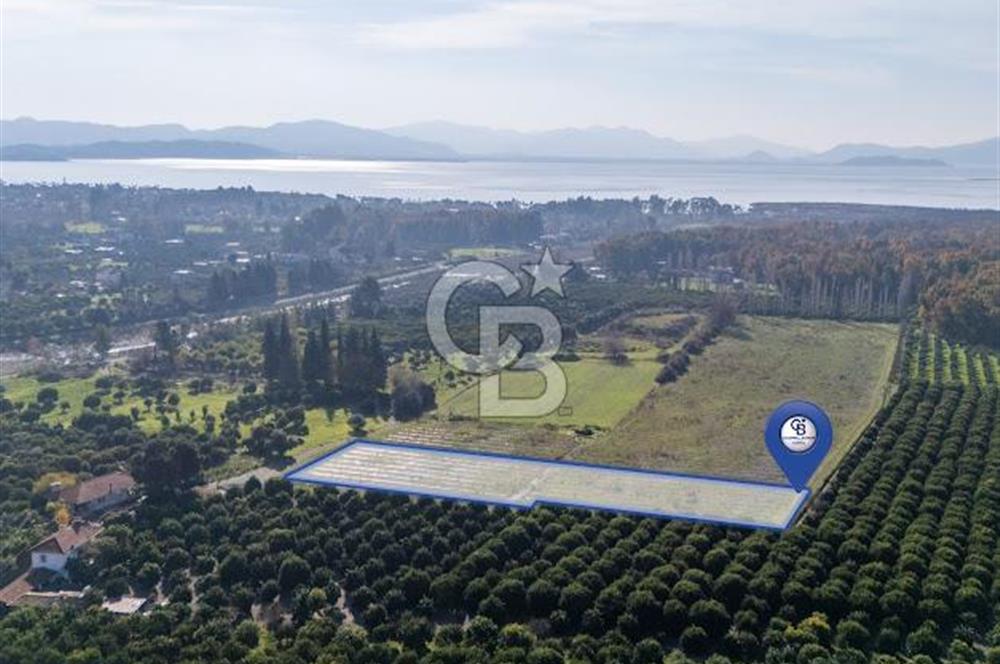 MUĞLA KÖYCEĞİZ ULUCAMİ DE MUHTEŞEM KONUMLU VE MANZARALI TARLA 1 /17 Premium Ofis