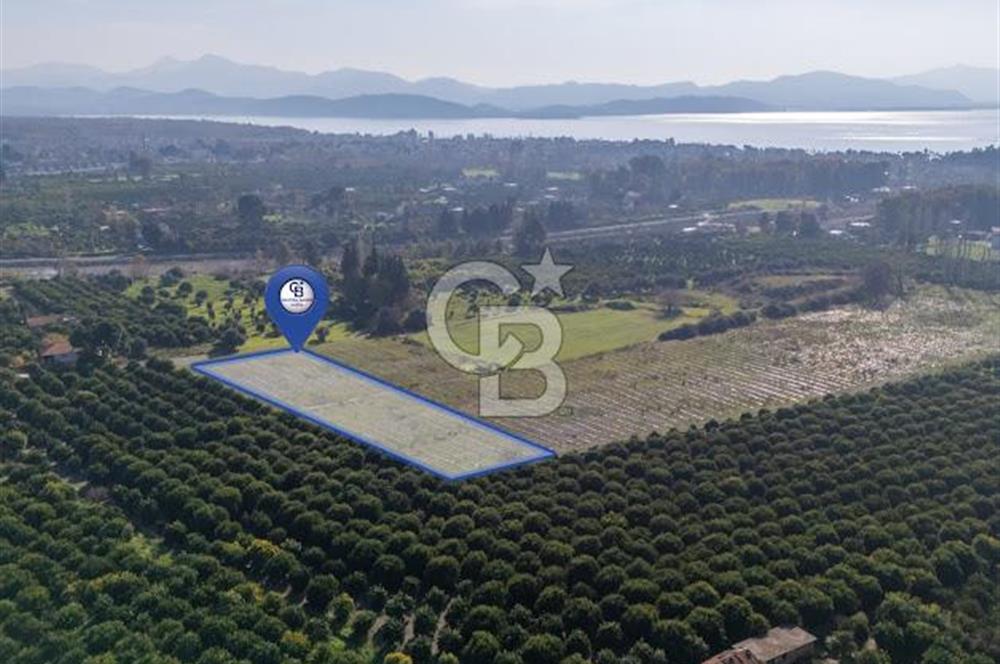 MUĞLA KÖYCEĞİZ ULUCAMİ DE MUHTEŞEM KONUMLU VE MANZARALI TARLA 1 /17 Premium Ofis