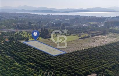 MUĞLA KÖYCEĞİZ ULUCAMİ DE MUHTEŞEM KONUMLU VE MANZARALI TARLA 1 /17 Premium Ofis