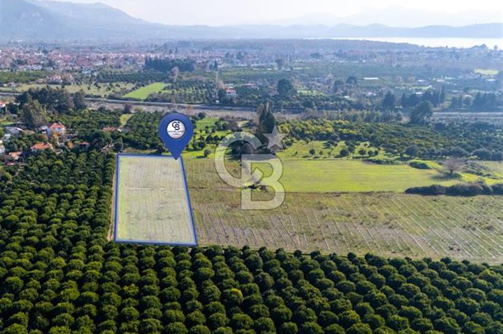 MUĞLA KÖYCEĞİZ ULUCAMİ DE MUHTEŞEM KONUMLU VE MANZARALI TARLA 1 /17 Premium Ofis