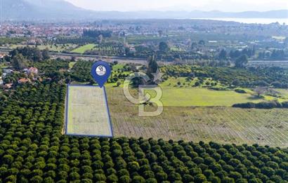 MUĞLA KÖYCEĞİZ ULUCAMİ DE MUHTEŞEM KONUMLU VE MANZARALI TARLA 1 /17 Premium Ofis