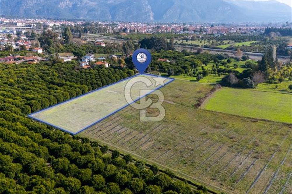 MUĞLA KÖYCEĞİZ ULUCAMİ DE MUHTEŞEM KONUMLU VE MANZARALI TARLA 1 /17 Premium Ofis