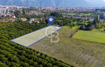 MUĞLA KÖYCEĞİZ ULUCAMİ DE MUHTEŞEM KONUMLU VE MANZARALI TARLA 1 /17 Premium Ofis