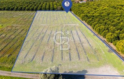 MUĞLA KÖYCEĞİZ ULUCAMİ DE MUHTEŞEM KONUMLU VE MANZARALI TARLA 1 /17 Premium Ofis